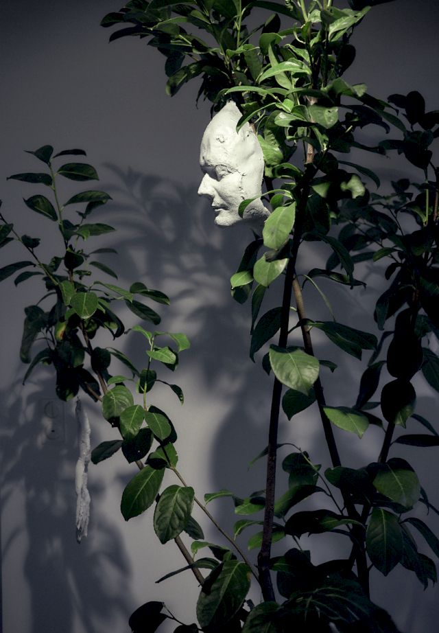 MARC QUINN, My ever changing moods, 1993