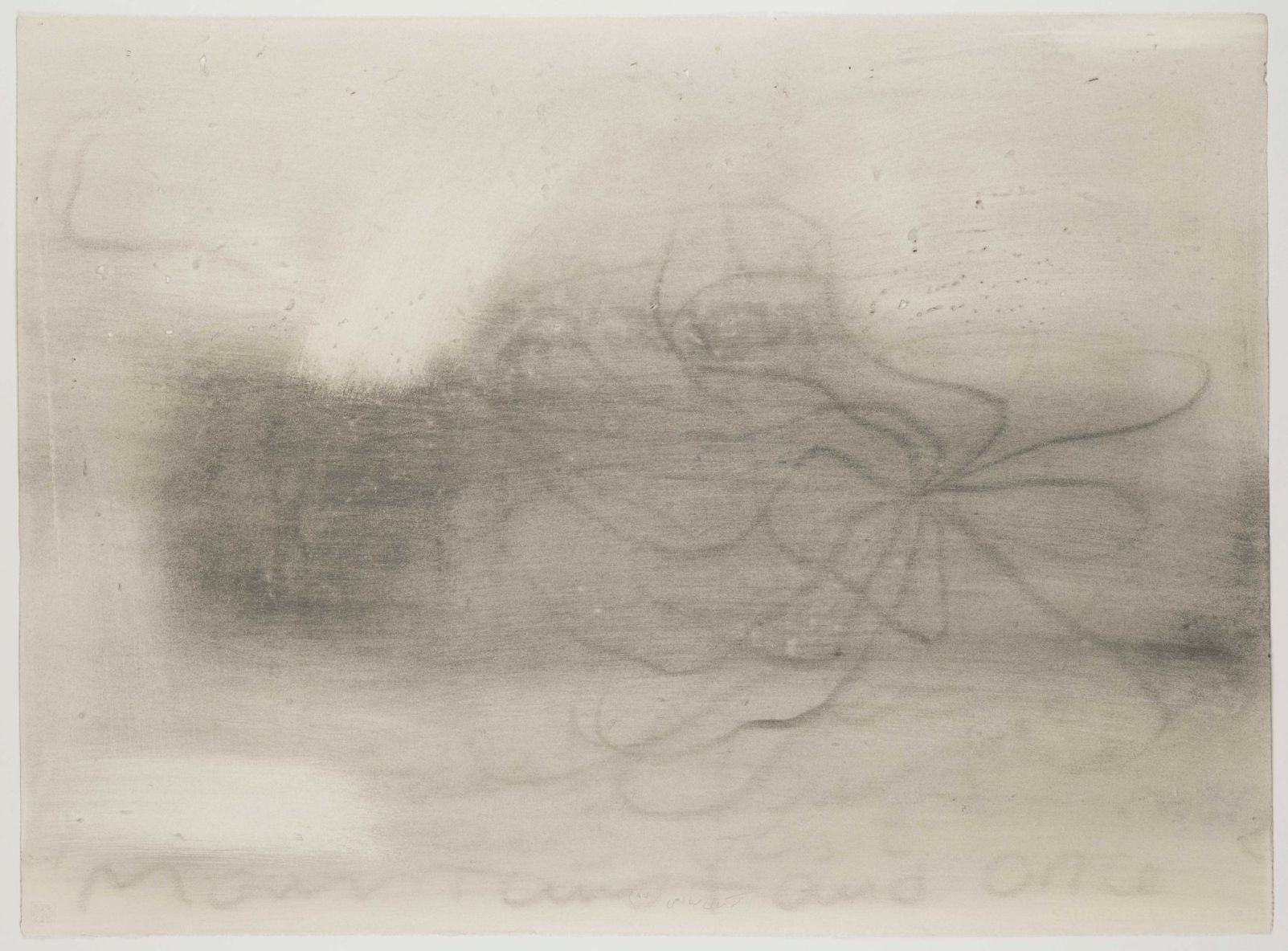 Emerging Iranian Artists