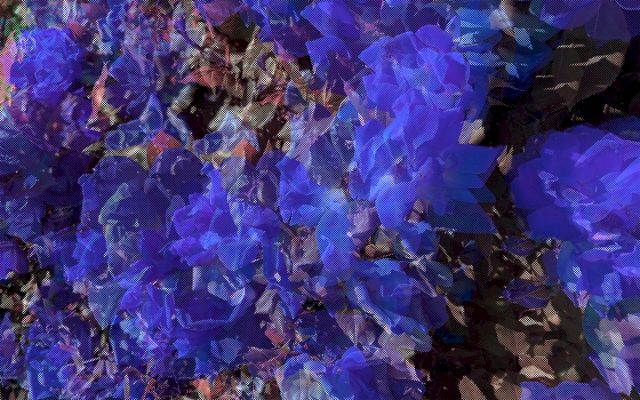 DAMON ZUCCONI, Garden, 2020