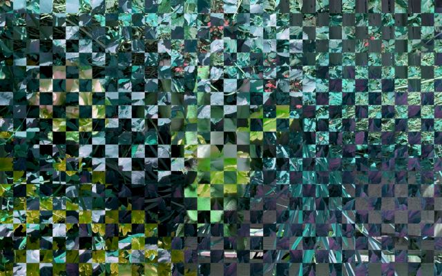 DAMON ZUCCONI, Garden, 2020