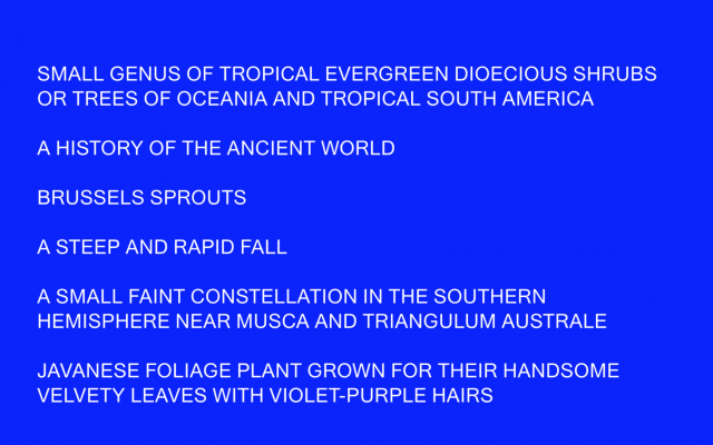 DAMON ZUCCONI, dictionary.blue, 2016