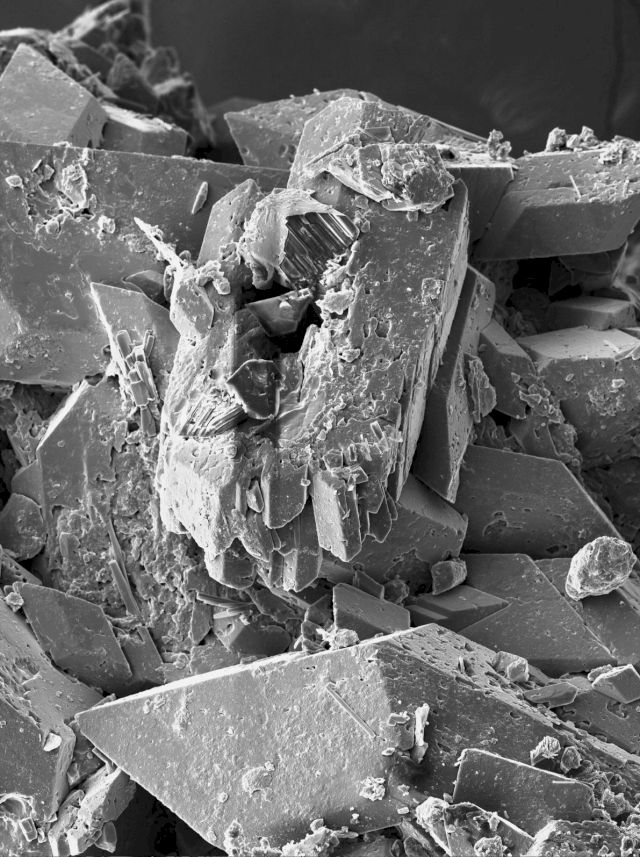 ANYA GALLACCIO, Plain as Your Eyes Can See, 2011