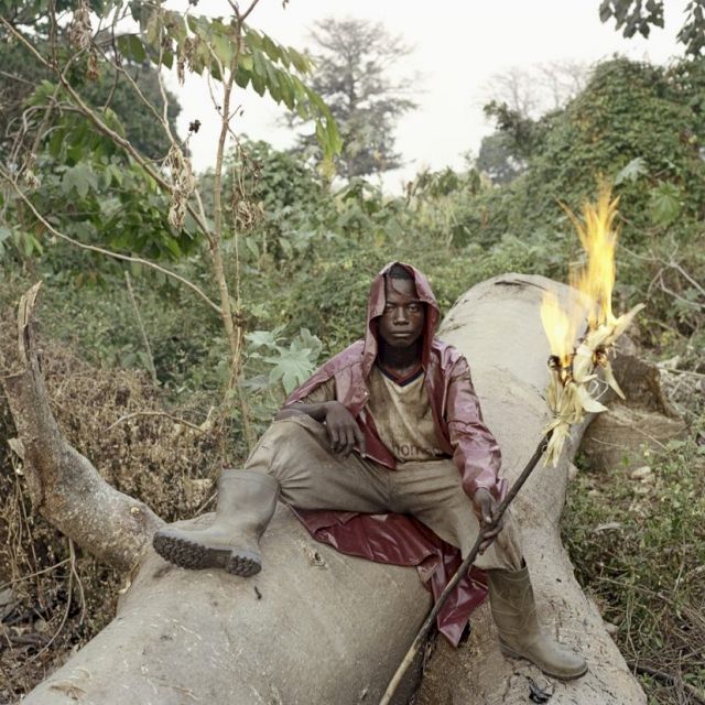 PIETER HUGO, Martin Kofi, Wild Honey Collector, 2005