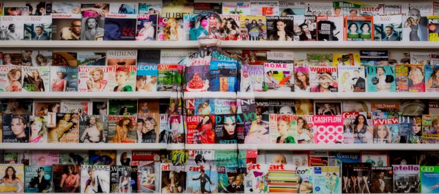 LIU BOLIN, Hiding in the City 128, Austria Bookshelf, 2014