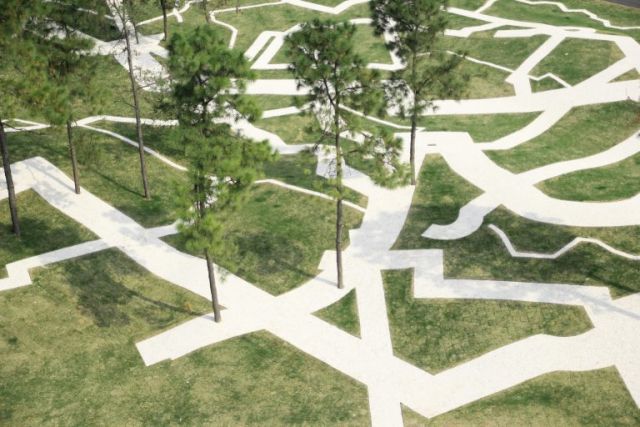 XU ZHEN, Movement Field, 2013