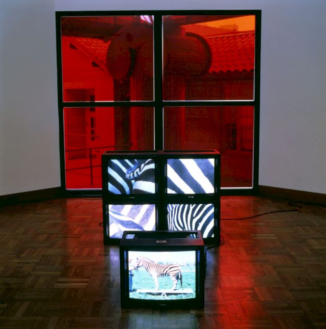 DIANA THATER, The Best Animals Are the Flat Animals, 1998. Courtesy of David Zwirner, New York and London. © Diana Thater