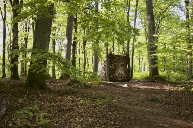 Hannelie Coetzee, Ou sog tussen bome:Old sow between trees, 2015. Permanent collection