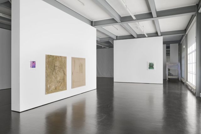 Braunsfelder, Gute Nacht installation view