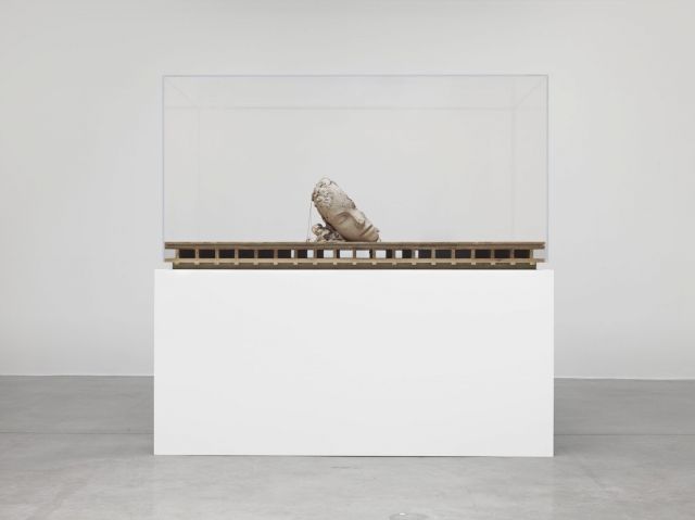 MARK MANDERS, Dry Head on Wooden Floor, 2015. Courtesy Zeno X Gallery, Antwerp. © Geneviève Hanson