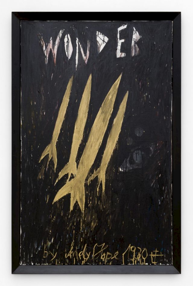 ANDY HOPE 1930, Wonder, 2006. © Hugard and Vanoverschelde