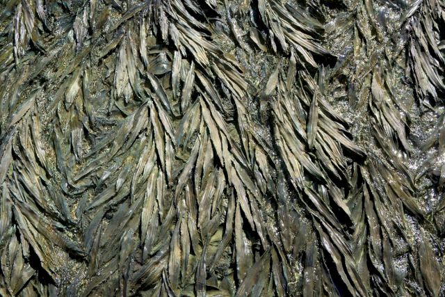 CRISTINA IGLESIAS, Towards the Ground, 2008. Photo: Alesssandro Moggi