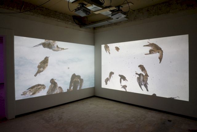 JANIS RAFA, A Sign of Prosperity to the Day Dreamer, 2014. Collection Capital C. Photo: Ernst van Deursen