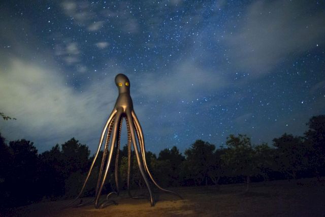 BEN JAKOBER AND YANNICK VU, Kraken, 2016 (night time in situ view). Courtesy Yannick And Ben Jakober Foundation