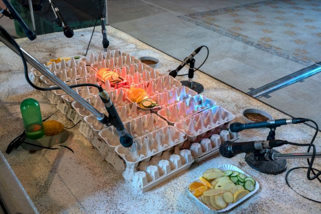 HENRIK HÅKANSSON, The Monsters of Rock, Tour, 1996. Courtesy Fondazione Morra Greco, Naples © Maurizio Esposito