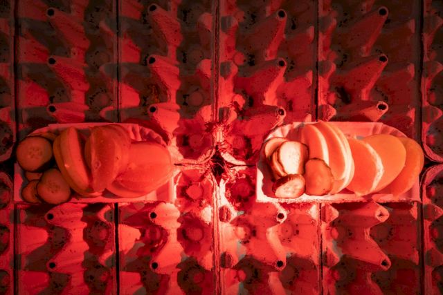 HENRIK HÅKANSSON, The Monsters of Rock, Tour, 1996. Courtesy Fondazione Morra Greco, Naples © Maurizio Esposito