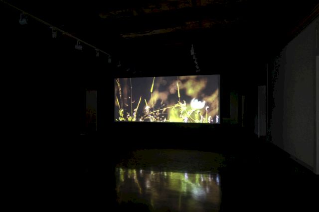 HENRIK HÅKANSSON, JULY.20,2004 (pieris napi), 2005. Courtesy Fondazione Morra Greco, Naples © Maurizio Esposito