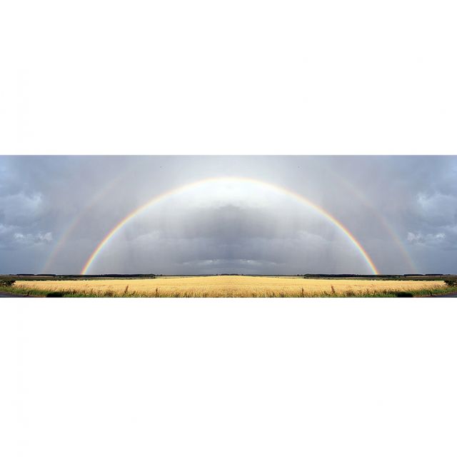 NIKOLAJ RECKE, Rainbow
