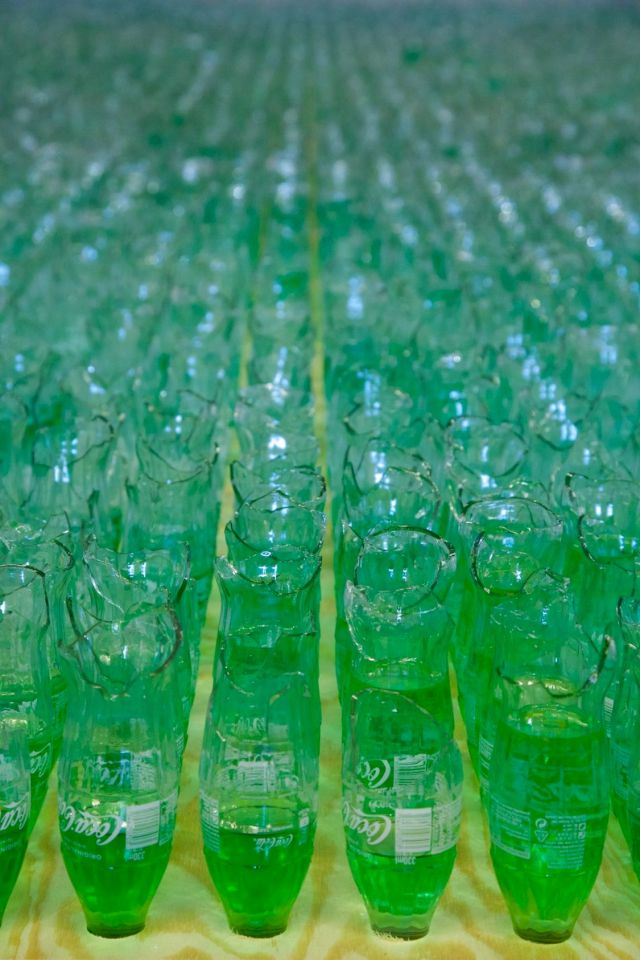 LUNGISWA GQUNTA, Lawn 1, 2019. Photo Mattias Givell