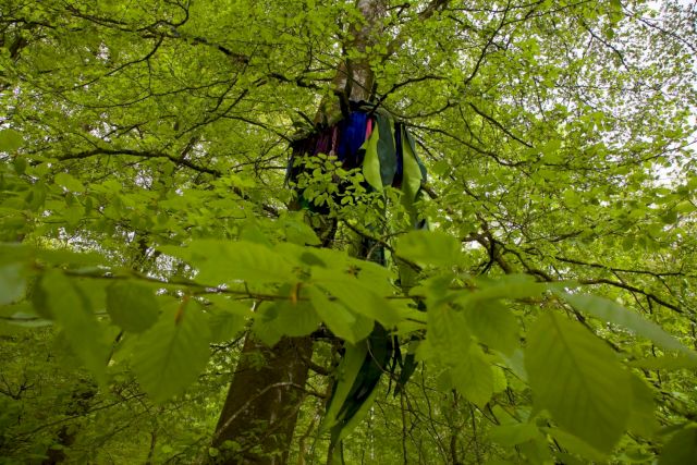 MARCIA KURE, Denizen, 2019. Photo Mattias Givell