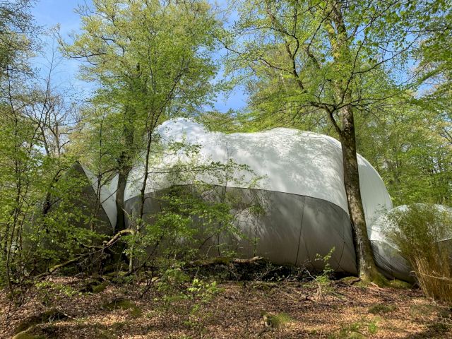 PETER GESCHWIND & GUNILLA KLINGBERG, Lifesystems – Nonspace, 2019. Photo Mattias Givell