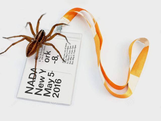 UV PRODUCTION HOUSE, Spiders for Change Fund, donate 1 dollar to anonymously release six wolf spiders in the fair and a chance to donate 100 to research