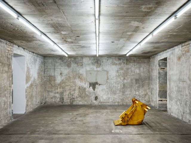 Cyprien Gaillard, Lesser Koa Moorhen, 2013. Foto: Boros Collection, Berlin © NOSHE