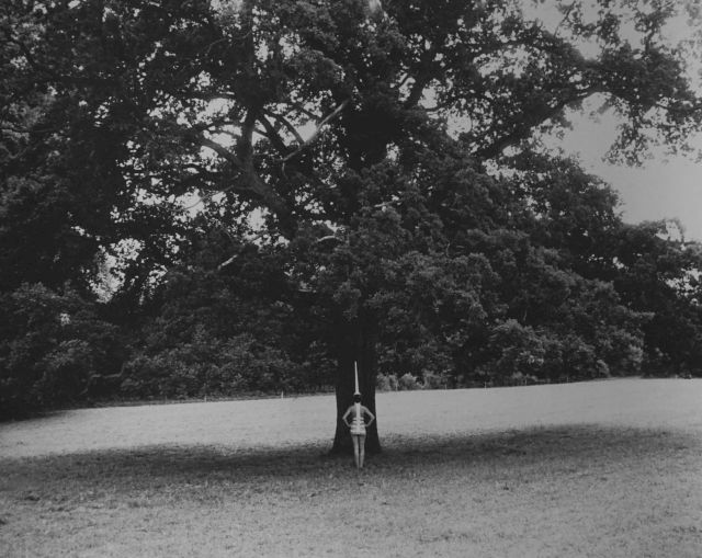 REBECCA HORN, Einhorn, 1982