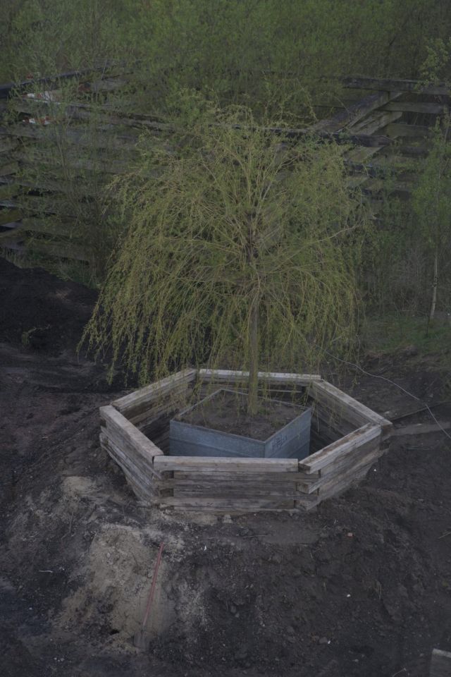 ZORO FEIGL, Willow, 2015. Photo: Tineke Schuurmans