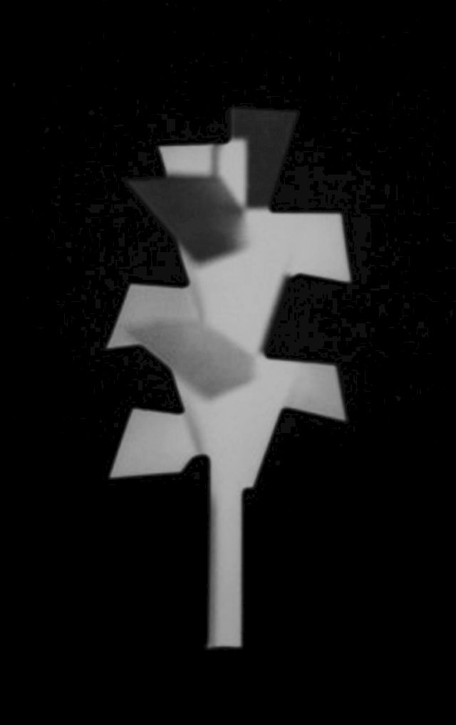 MARTIN BOYCE, Concrete Autumn (Phantom Tree), 2005. Courtesy the artist; Tanya Bonakdar, New York; The Stolbun Collection