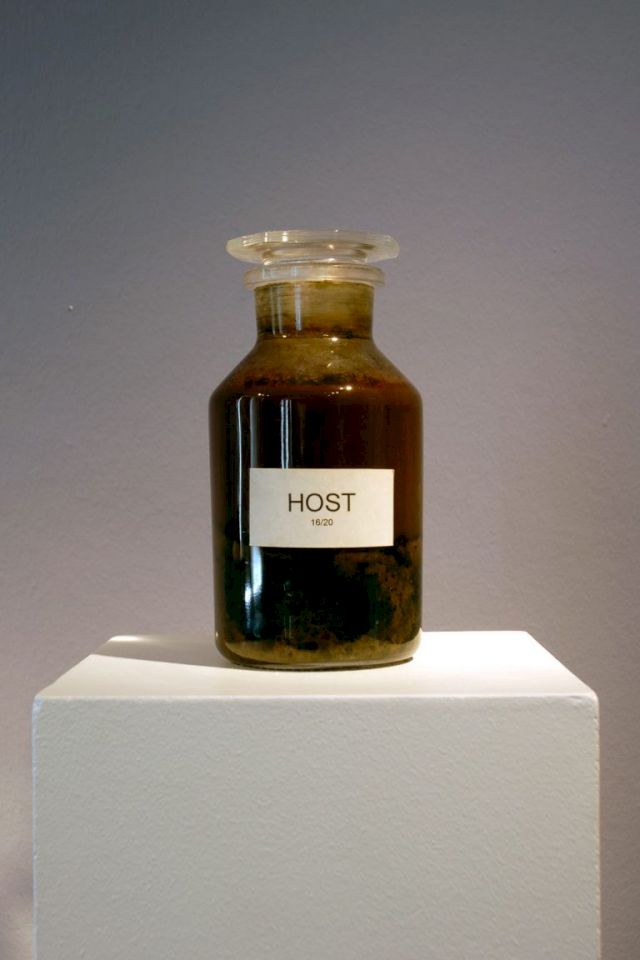 ANTHONY GORMLEY, Host, 1997. Photo: Marianne Obst