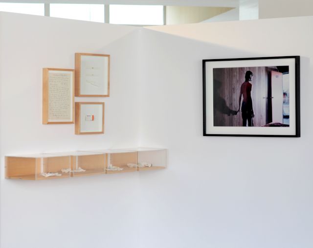 Exhibition XXH Temps 1, 2024 Fondation Francès, Clichy: Tracey Emin The History of Painting, Philip-Lorca Dicorcia Tim ©Fondation Francès