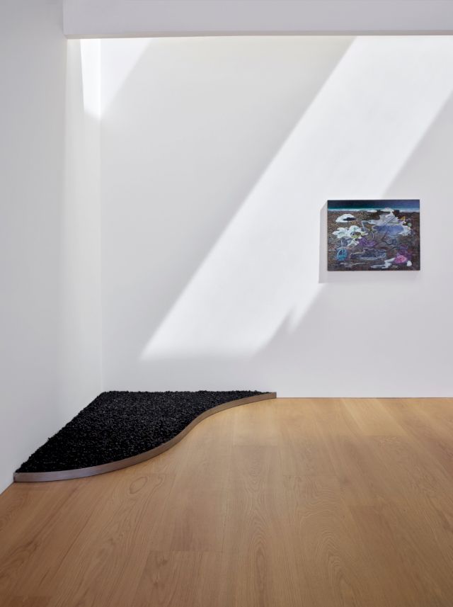 Anj Smith, Exhibition View: Where the Mountain Hare has Lain, 2022. Photo: Angela Moore