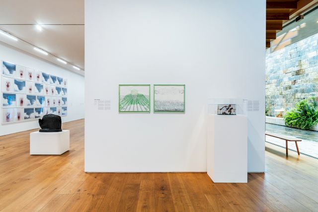 Installation view. Photo by Lais Pereira