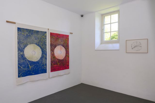 Installation view, solo exhibition by Gladys Zeevaarders, 'Il y avait un Jardin', 11 May - 24 August 2025. Photo by Peter Cox