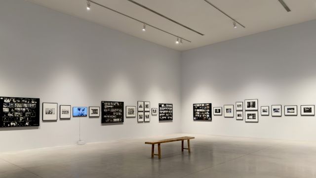 Installation view: Autoportrait by Jean Pigozzi. © Château La Coste