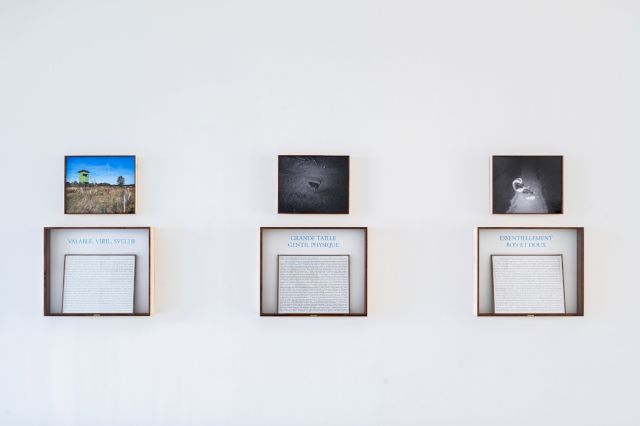 Sophie Calle, 'Chasse gardée‘. © Stéphane Aboudaram l Wearecontent(s)