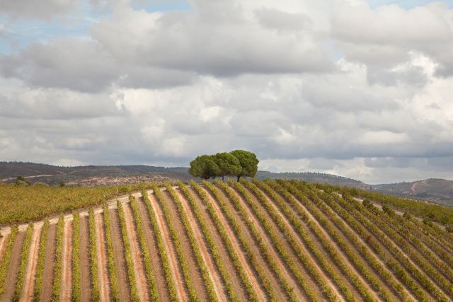 Susan Philipsz, 'Tomorrow's Sky', three channel sound installation, 2019. Photo by Joeri van Beek