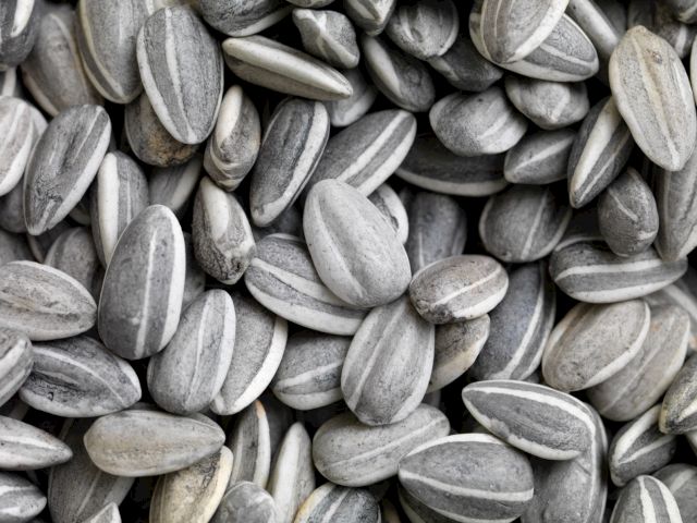 Ai Weiwei 艾未未, Sunflower Seeds, 2009, porcelain, weight approximately 500kg, approximately 150-160 cm diameter. Image Courtesy of the Artist and the White Rabbit Collection