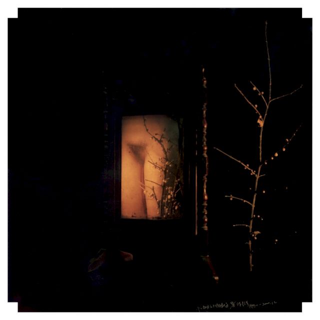 Chen Lingyang 陈羚羊, December Plum from the series Twelve Flower Months, 1999-2000, C-type print, 51 x 51 cm. Image Courtesy of the Artist and the White Rabbit Collection