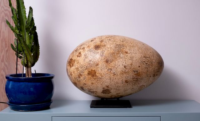 Joanna Rajkowska, 'Chick(Crane)', 2019. Photo by Michał Topolan